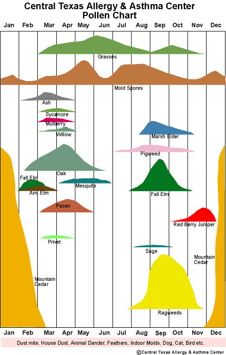 Austin pollen chart